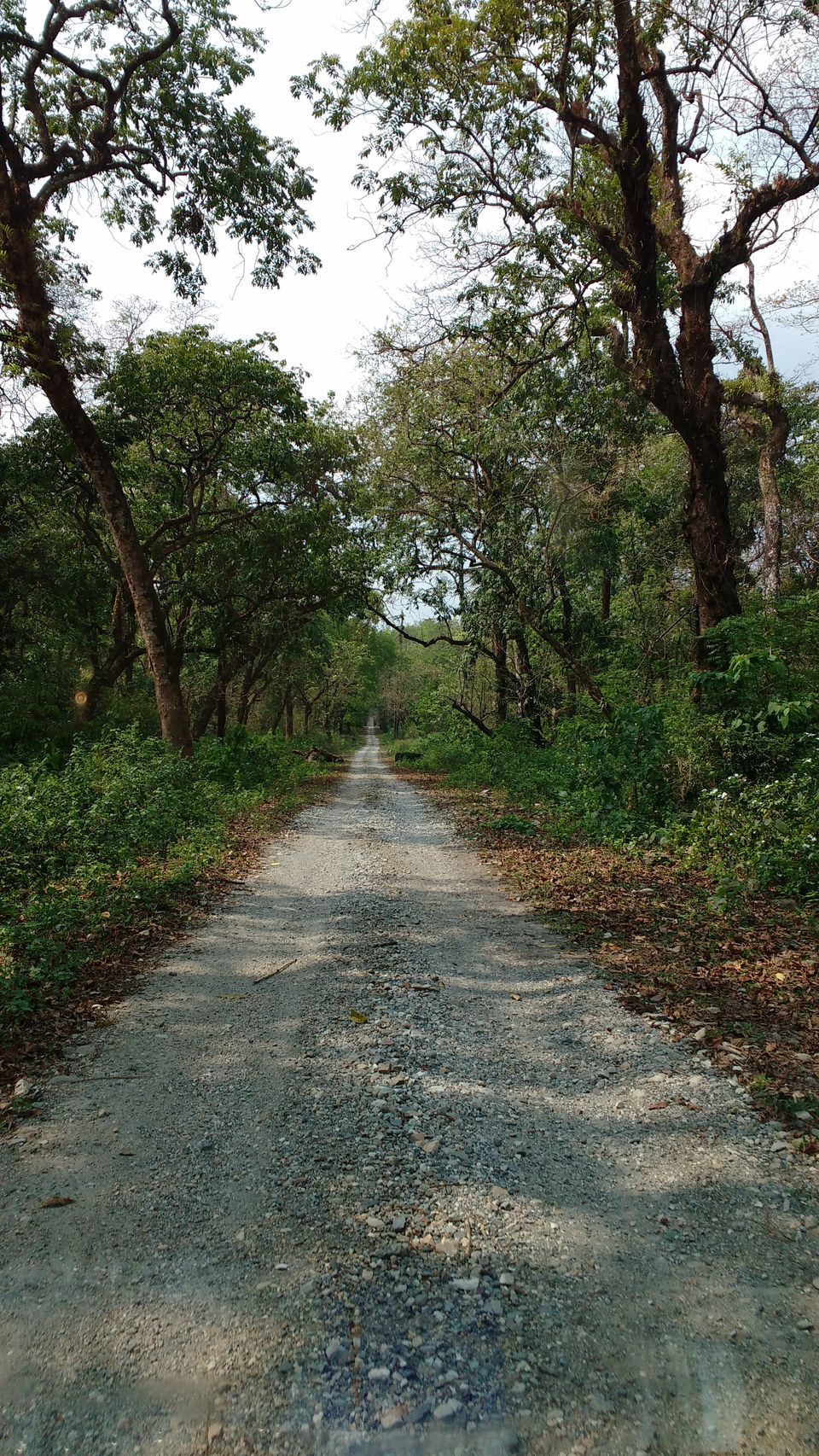 Photo of When there is nothing but solitude 10/11 by Devarati Sarkar
