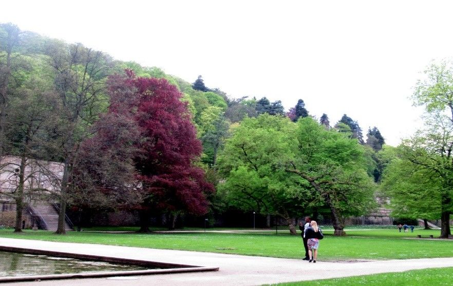 Photo of Heidelberg: A city, quaint yet charmingly chic. by Saswati Saha