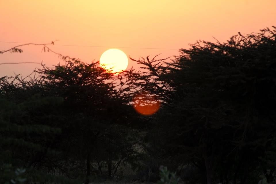 Photo of Cycling in Thar Desert 7/10 by Shipra Mishra