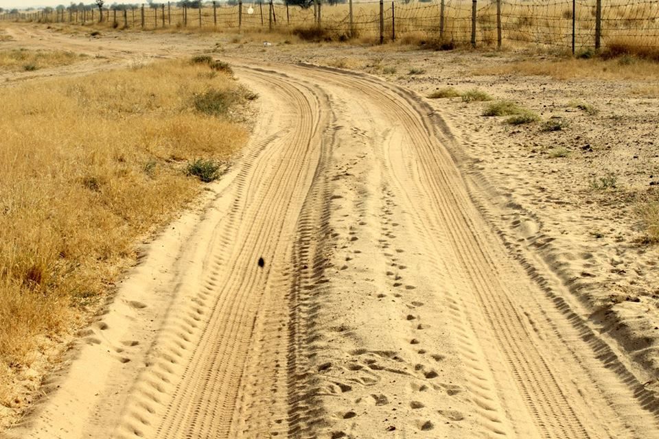 Photo of Cycling in Thar Desert 6/10 by Shipra Mishra
