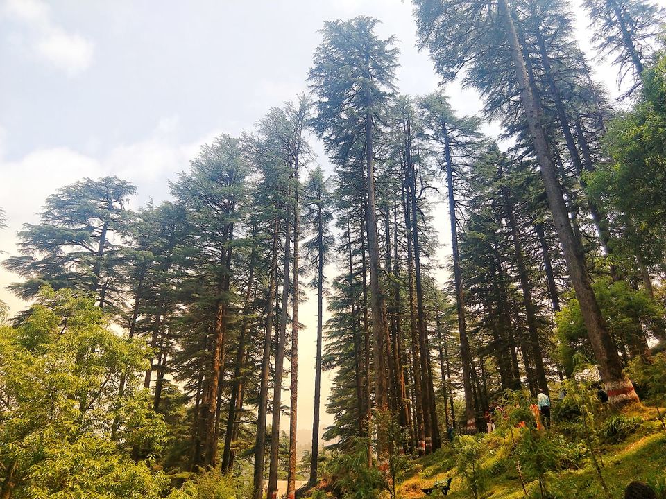 Photo of 4 road trips in 6 months along with regular 9 to 6 job #MyStory 5/7 by Vaishali Sharma
