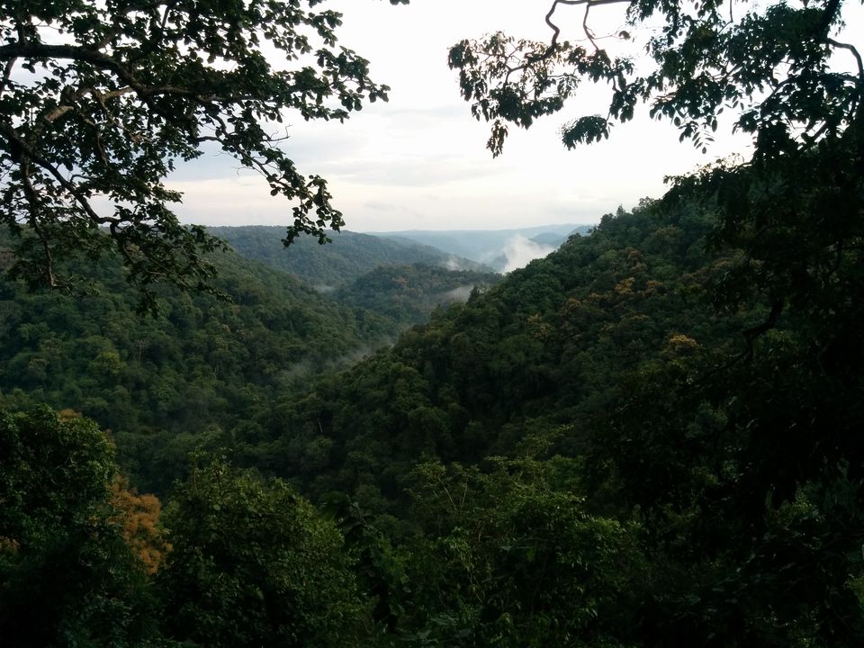 Photo of Dandeli – Kingdom of dense forests 3/20 by Pooja