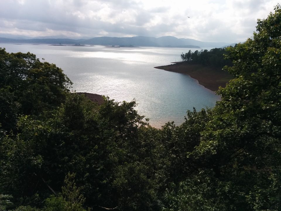 Photo of Dandeli – Kingdom of dense forests 7/20 by Pooja
