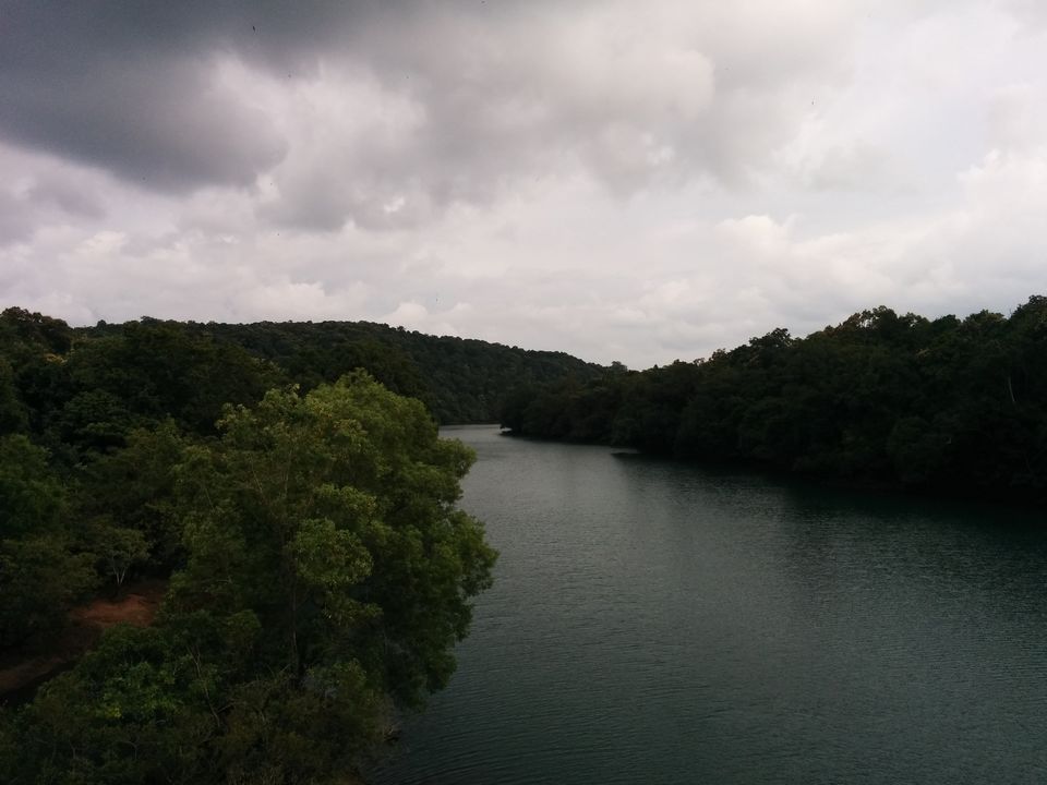 Photo of Dandeli – Kingdom of dense forests 9/20 by Pooja