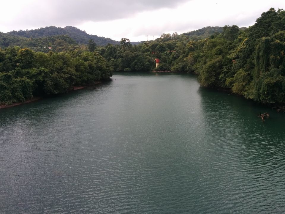 Photo of Dandeli – Kingdom of dense forests 10/20 by Pooja