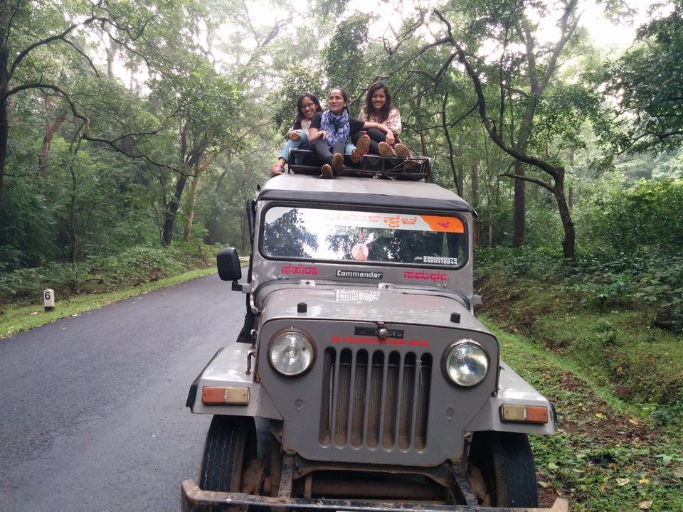 Photo of Dandeli – Kingdom of dense forests 13/20 by Pooja