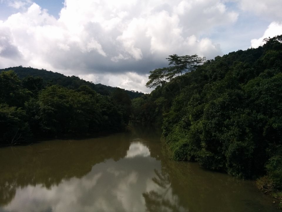 Photo of Dandeli – Kingdom of dense forests 15/20 by Pooja