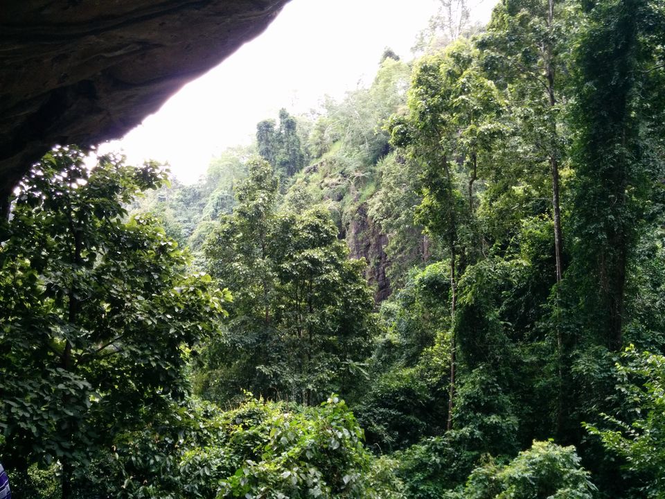 Photo of Dandeli – Kingdom of dense forests 17/20 by Pooja