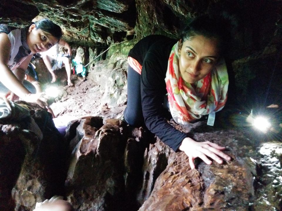 Photo of Dandeli – Kingdom of dense forests 20/20 by Pooja
