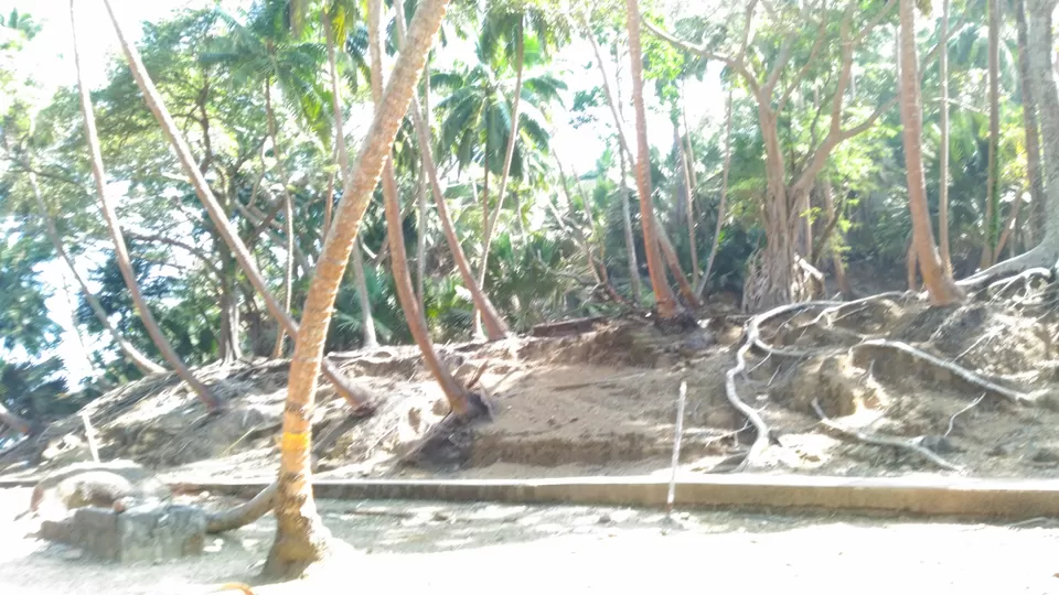 Photo of Budget trip to andamans by Pritha Dasgupta