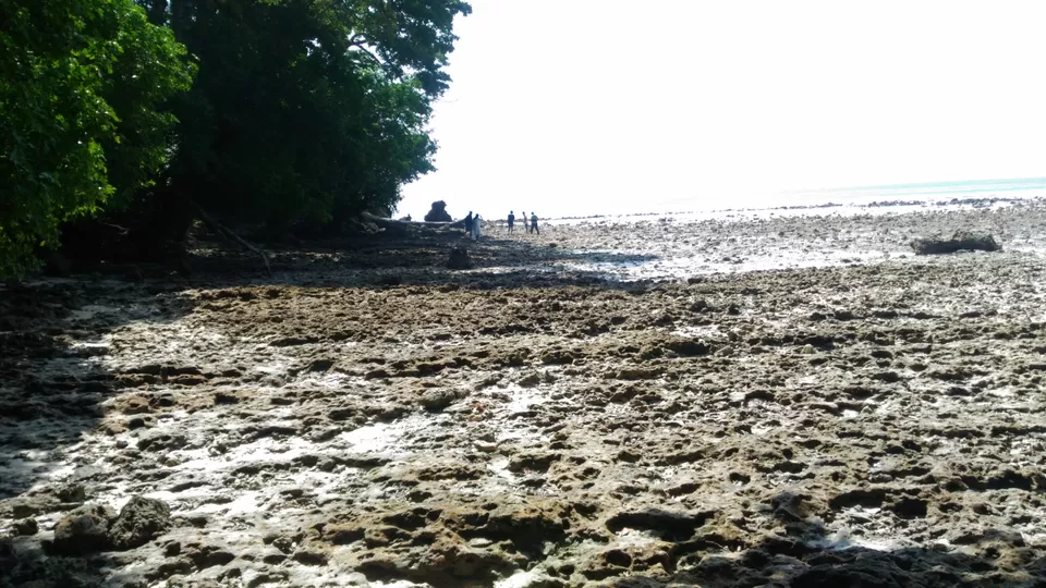 Photo of Budget trip to andamans by Pritha Dasgupta