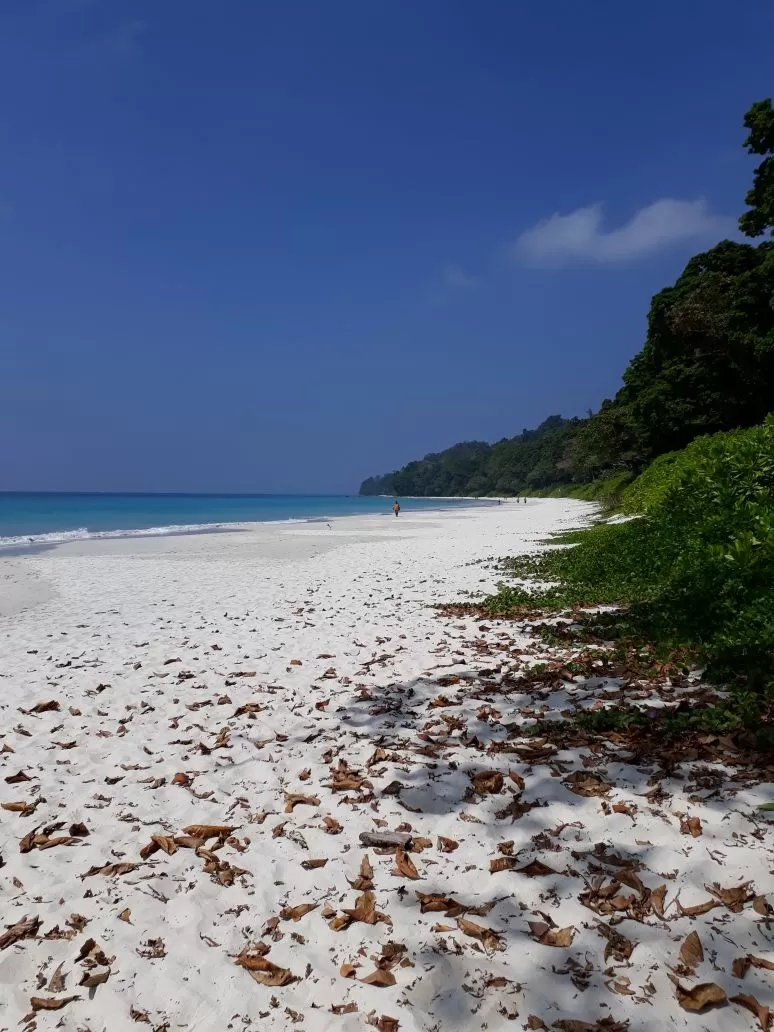 Photo of Budget trip to andamans by Pritha Dasgupta