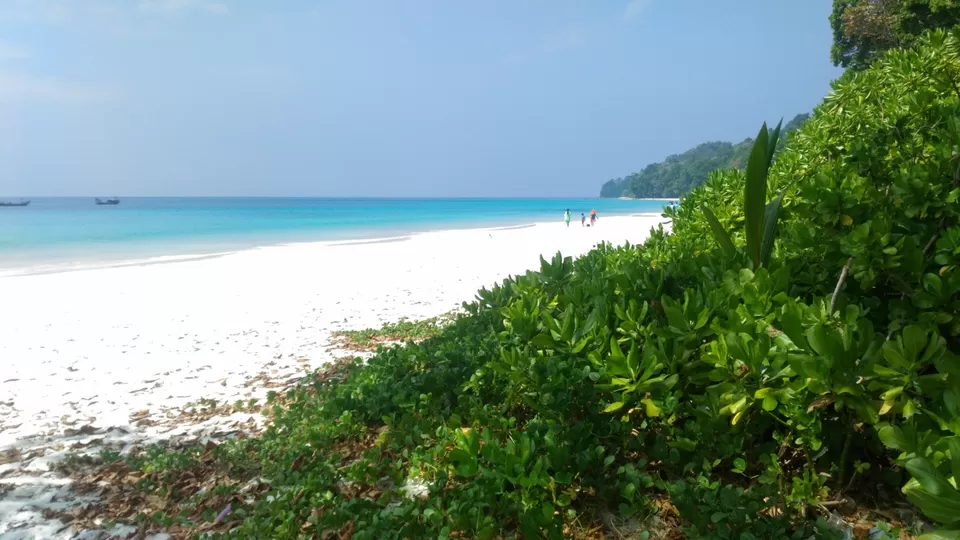 Photo of Budget trip to andamans by Pritha Dasgupta