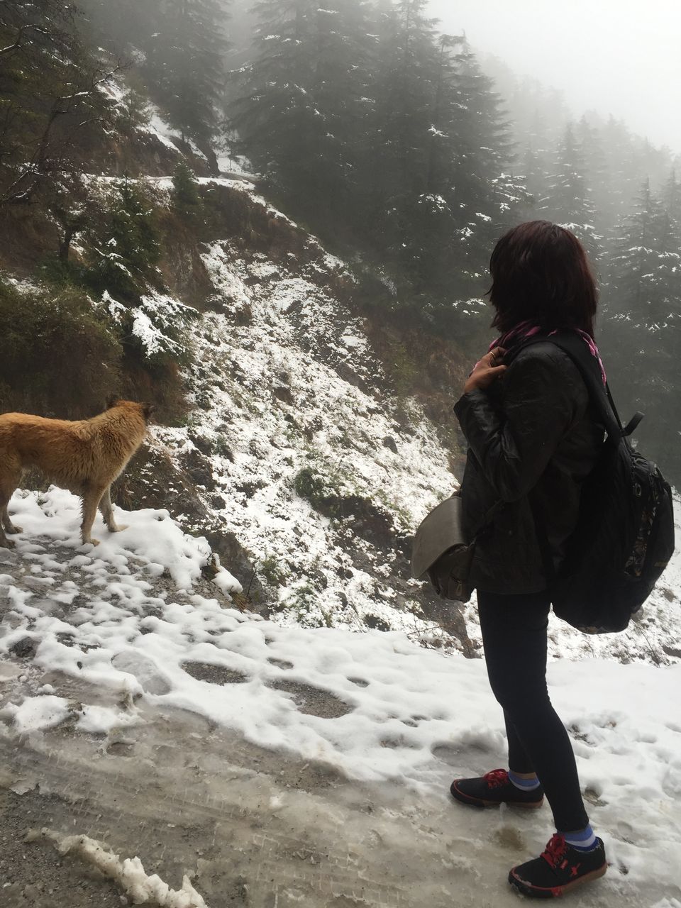 Photo of Dharamshala-Mcleodganj , a backpacker's paradise 1/13 by Deepti Divya