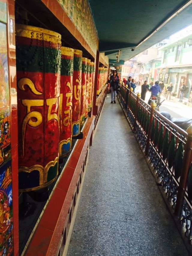 Photo of Dharamshala-Mcleodganj , a backpacker's paradise 2/13 by Deepti Divya