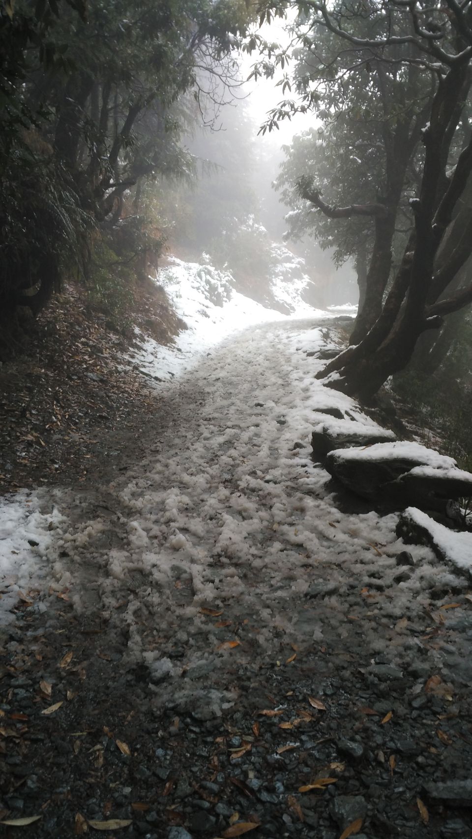 Photo of Dharamshala-Mcleodganj , a backpacker's paradise 7/13 by Deepti Divya