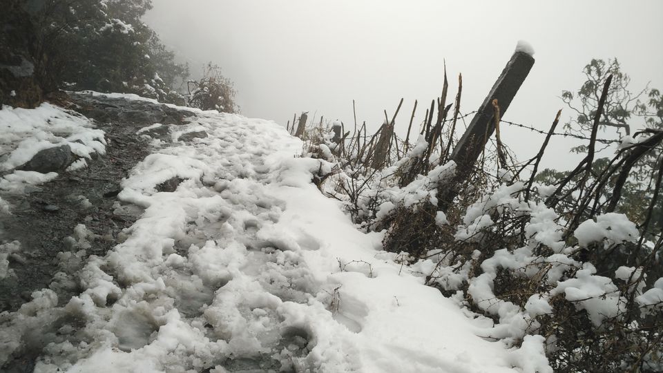 Photo of Dharamshala-Mcleodganj , a backpacker's paradise 8/13 by Deepti Divya