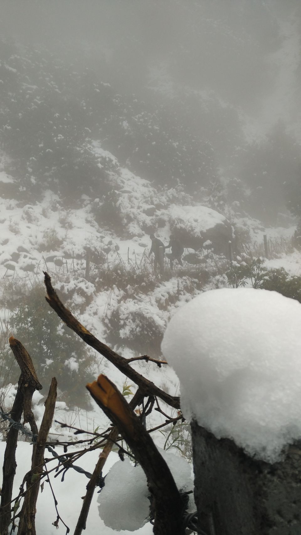 Photo of Dharamshala-Mcleodganj , a backpacker's paradise 9/13 by Deepti Divya