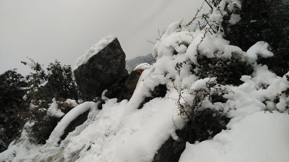 Photo of Dharamshala-Mcleodganj , a backpacker's paradise 11/13 by Deepti Divya