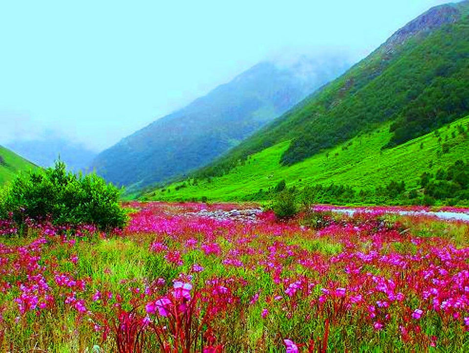 Hill Station to Visit in August, 7 Best Hill Station to Visit in August