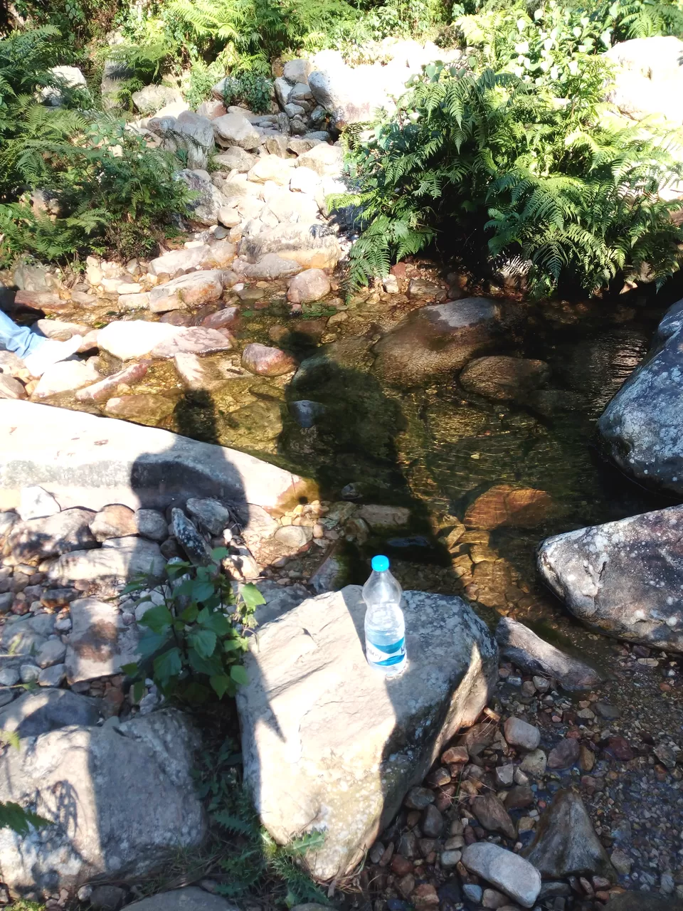 Photo of Rudhrahari Waterfall, Kausani by Smriti Jain