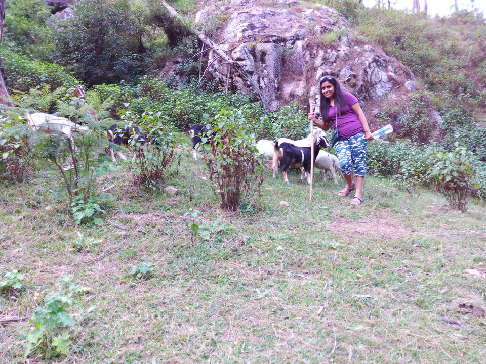 Photo of Backpackers in Uttarakhand!! 19/28 by Smriti Jain