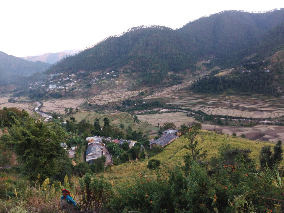 Photo of Backpackers in Uttarakhand!! 20/28 by Smriti Jain