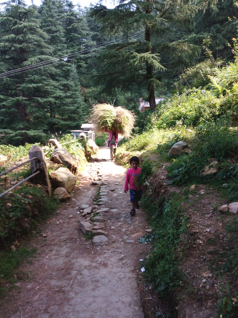 Photo of Backpackers in Uttarakhand!! 24/28 by Smriti Jain