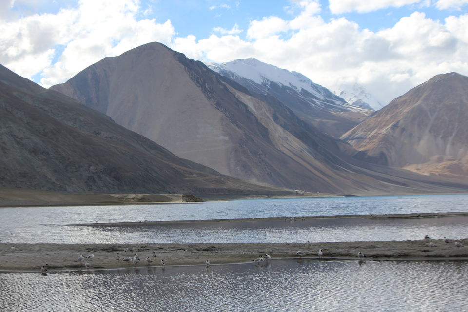 Photo of A day at Pangong Tso 4/10 by Foram Parikh