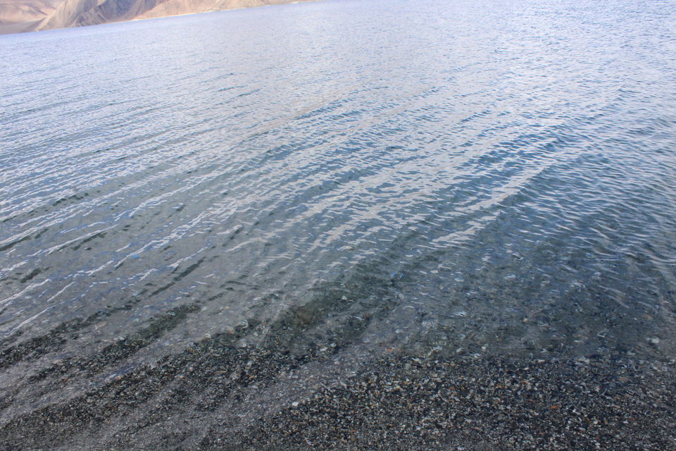 Photo of A day at Pangong Tso 6/10 by Foram Parikh