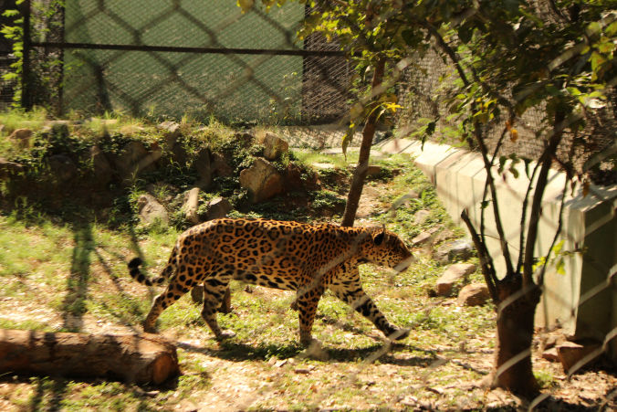 Photo of 3 Must Visit Places in Mysore 5/10 by Foram Parikh