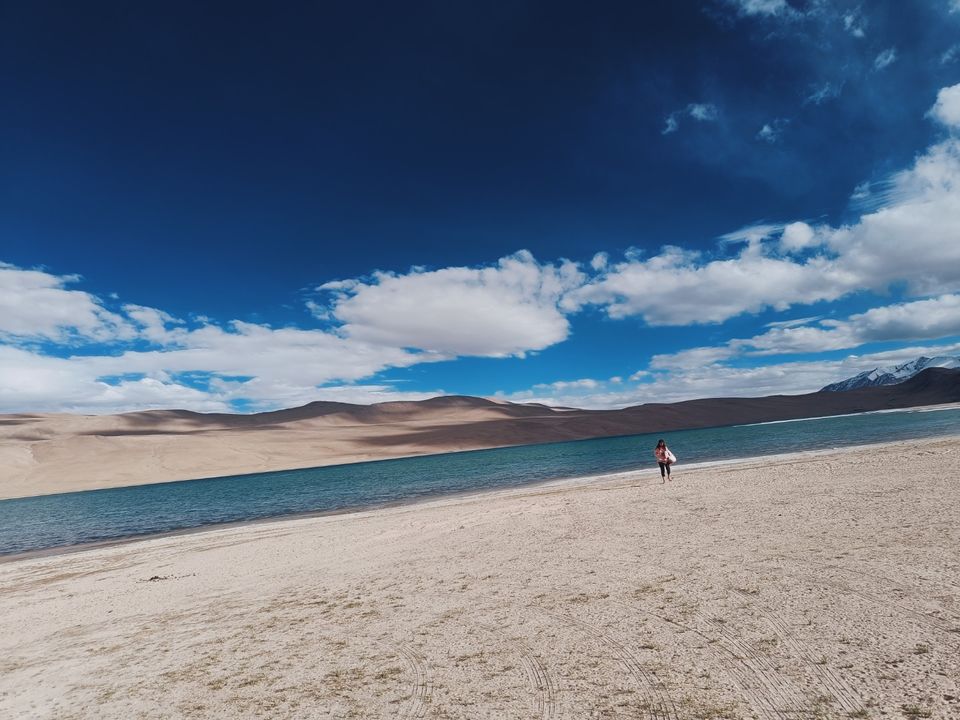 Photo of The wind of nature changes everywhere by Deepak kumar menon