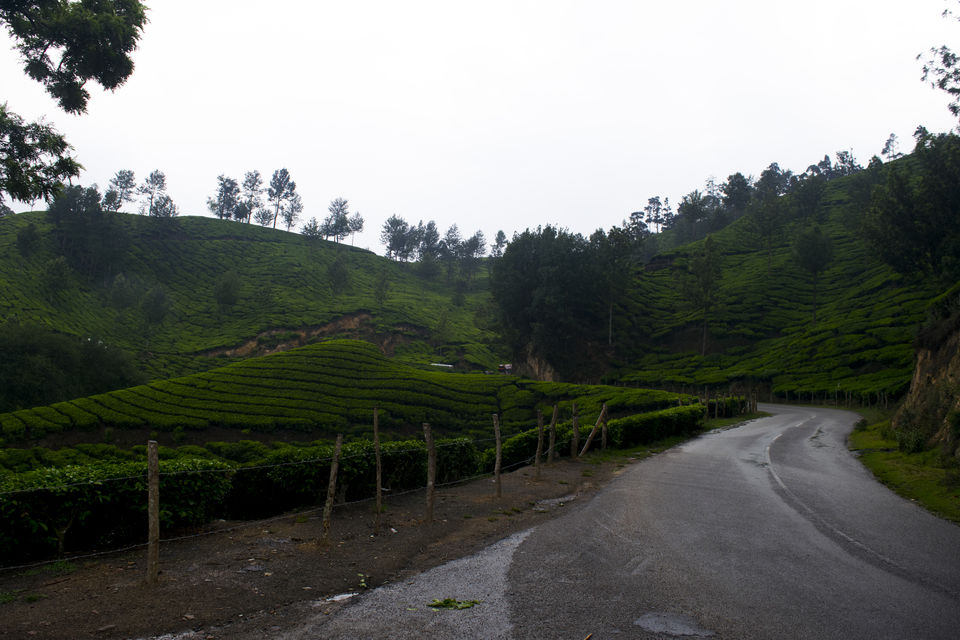 Photo of A Road Trip to Green Paradise- Munnar 2/6 by Neet Chhabra