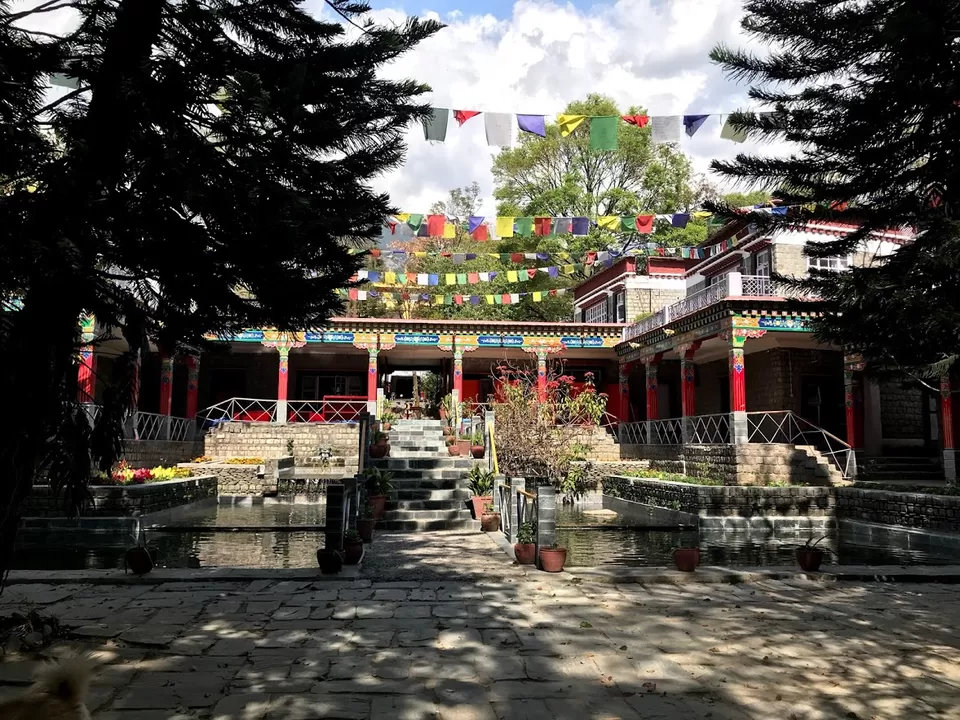 Photo of Norbulingka Institute, Sidhpur, Himachal Pradesh, India by Pooja