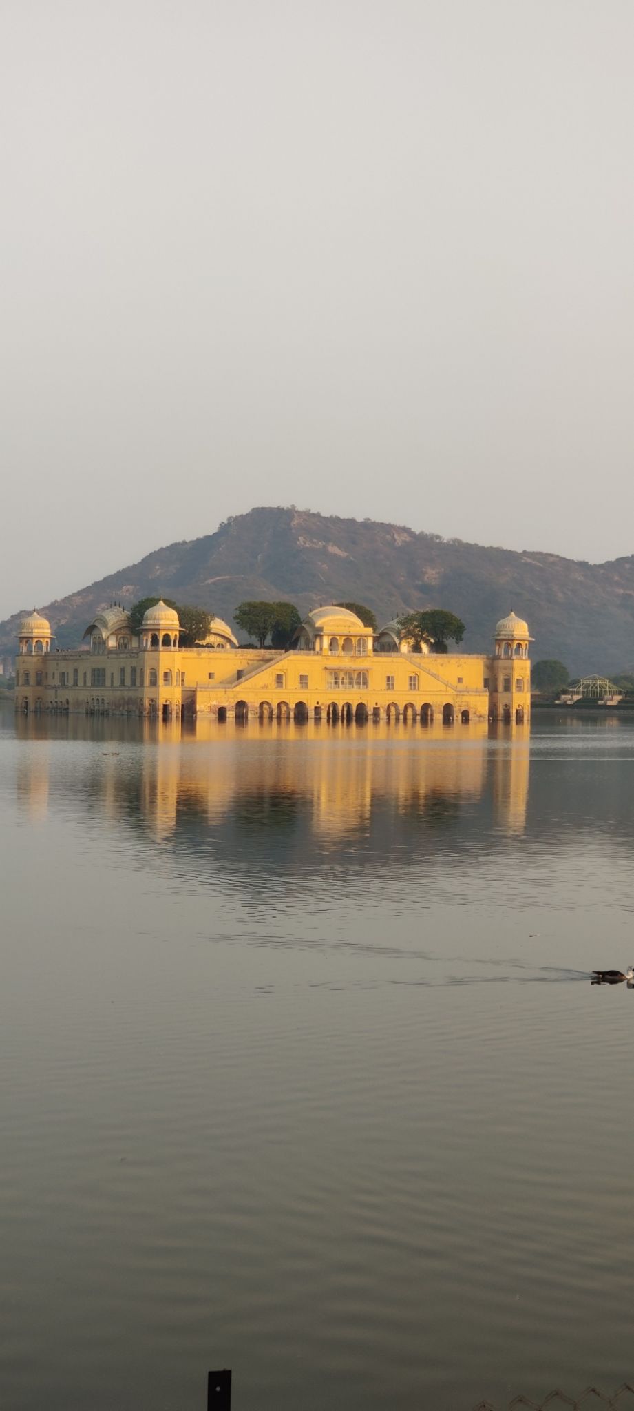 Photo of Jal Mahal by Himani Saini