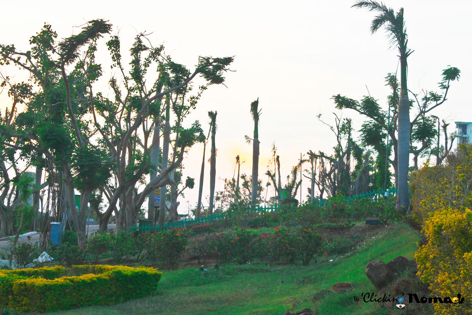 Photo of The spice trail of Vizag 13/31 by The 'Clicking' Nomads