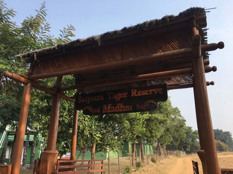 Photo of Madai, Madhya Pradesh, India by moromee das