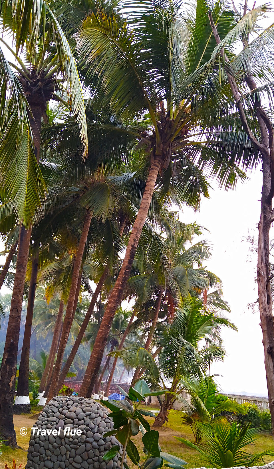 Photo of Mumbai, Maharashtra, India by Abhishek Gupta
