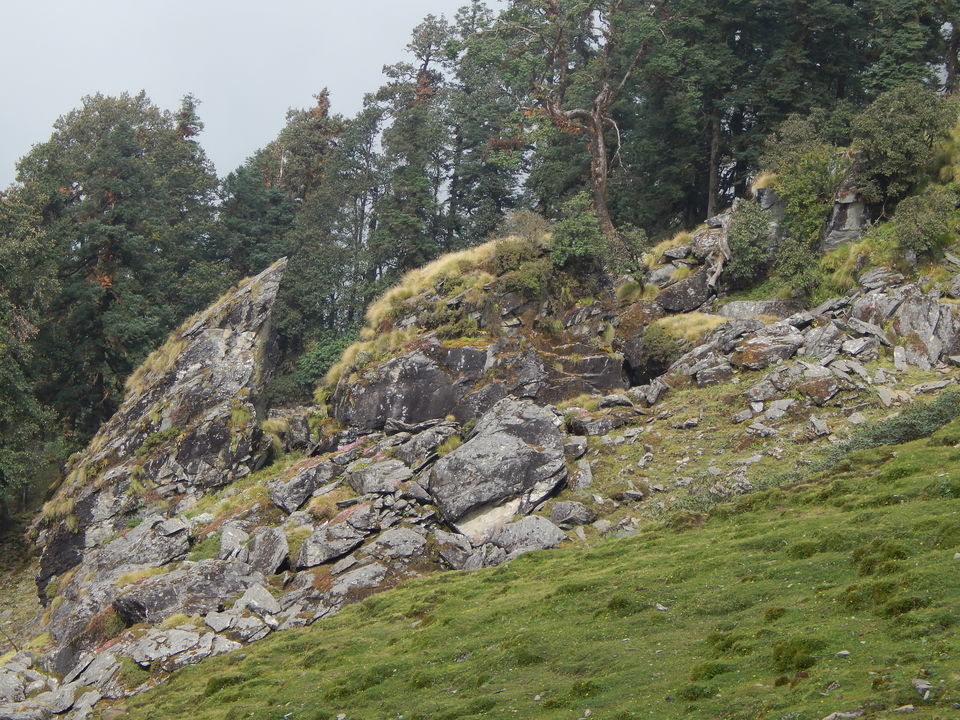 Photo of Tungnath...Chandrashila 8/32 by Rajesh Kumar Sarkar
