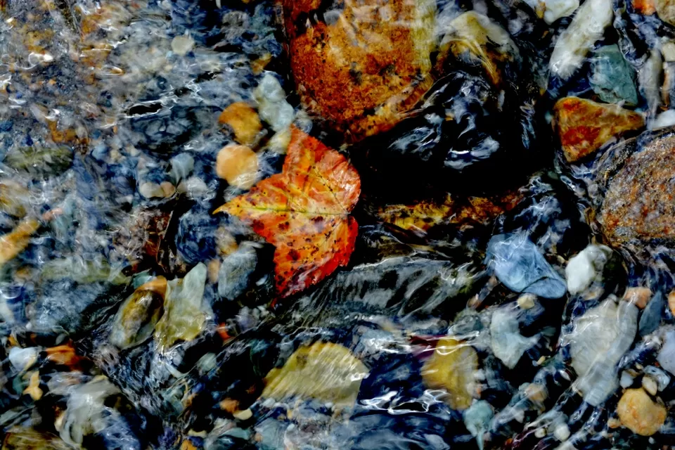 Photo of Junar Gali, Uttarakhand, India by Rajesh Kumar Sarkar