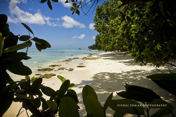Photo of ANDAMAN - Wind. Sunshine. Unwind. by vishaltomar53
