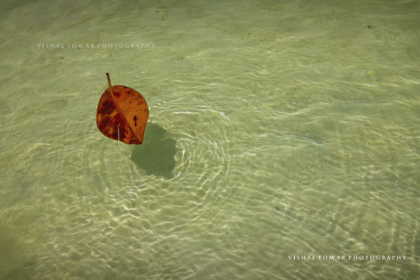 Photo of ANDAMAN - Wind. Sunshine. Unwind. by vishaltomar53