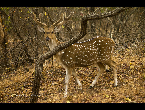 Photo of The Chakro land - GUJRAT 14/31 by vishaltomar53