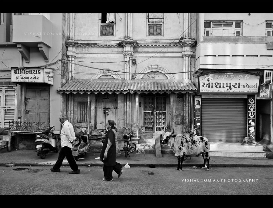 Photo of The Chakro land - GUJRAT 16/31 by vishaltomar53