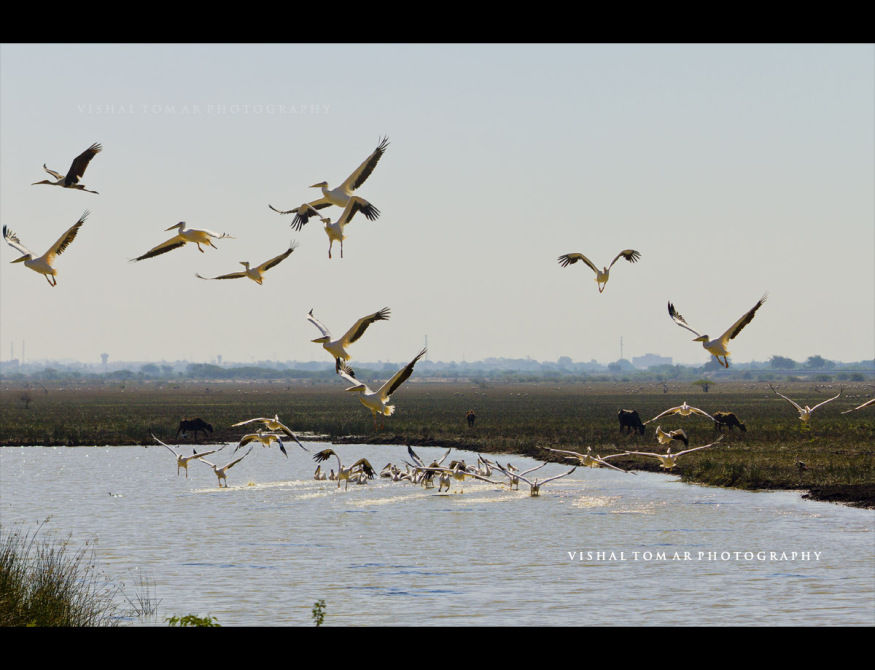 Photo of The Chakro land - GUJRAT 27/31 by vishaltomar53