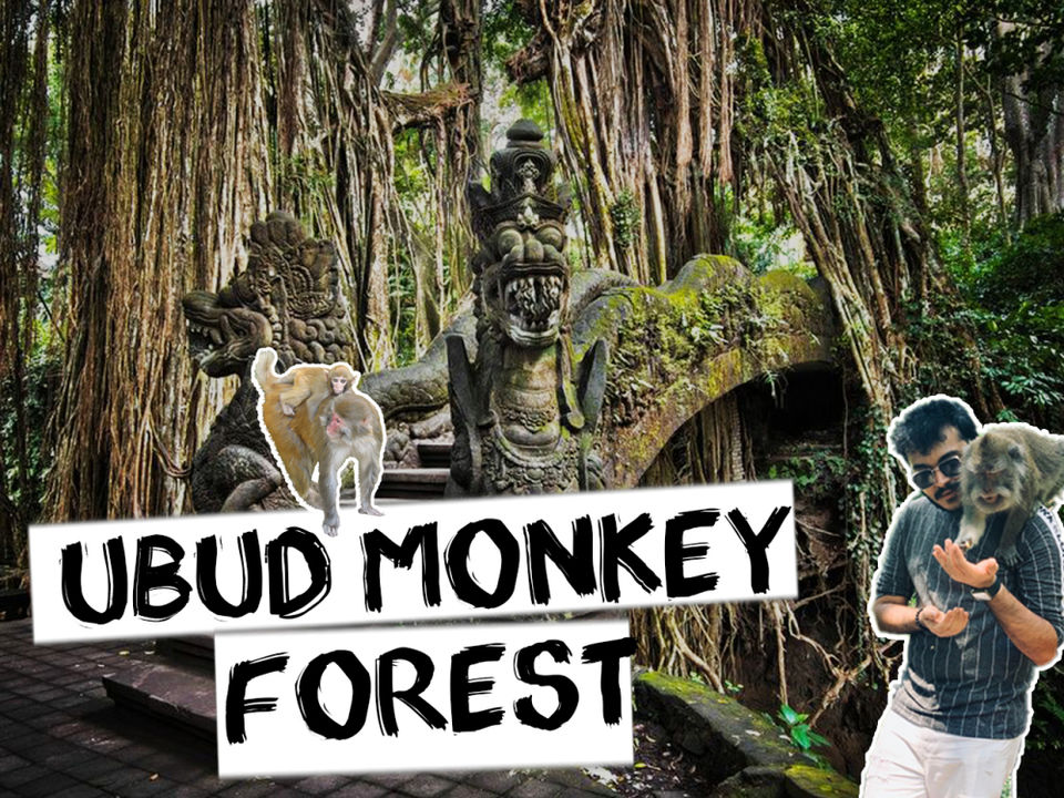 Photo of SACRED MONKEY FOREST (UBUD) 1/12 by Rushabh Sheth