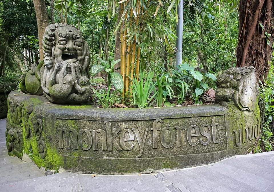 Photo of SACRED MONKEY FOREST (UBUD) 3/12 by Rushabh Sheth