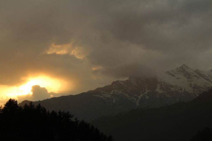 Photo of Kheerganga- A green world! by varun