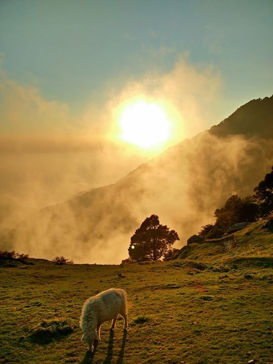 Photo of First solo trip to Dalhousie, Mcleodganj and Manali 1/103 by Vikas Singh