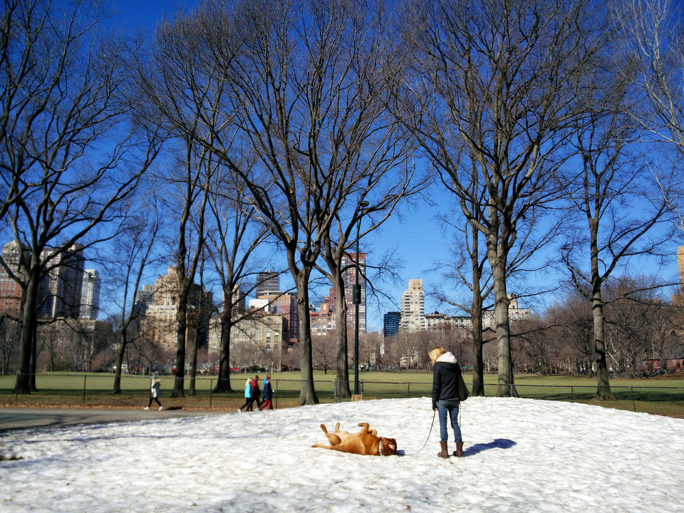 Photo of A Solo Trip To New York City by Vikas Singh